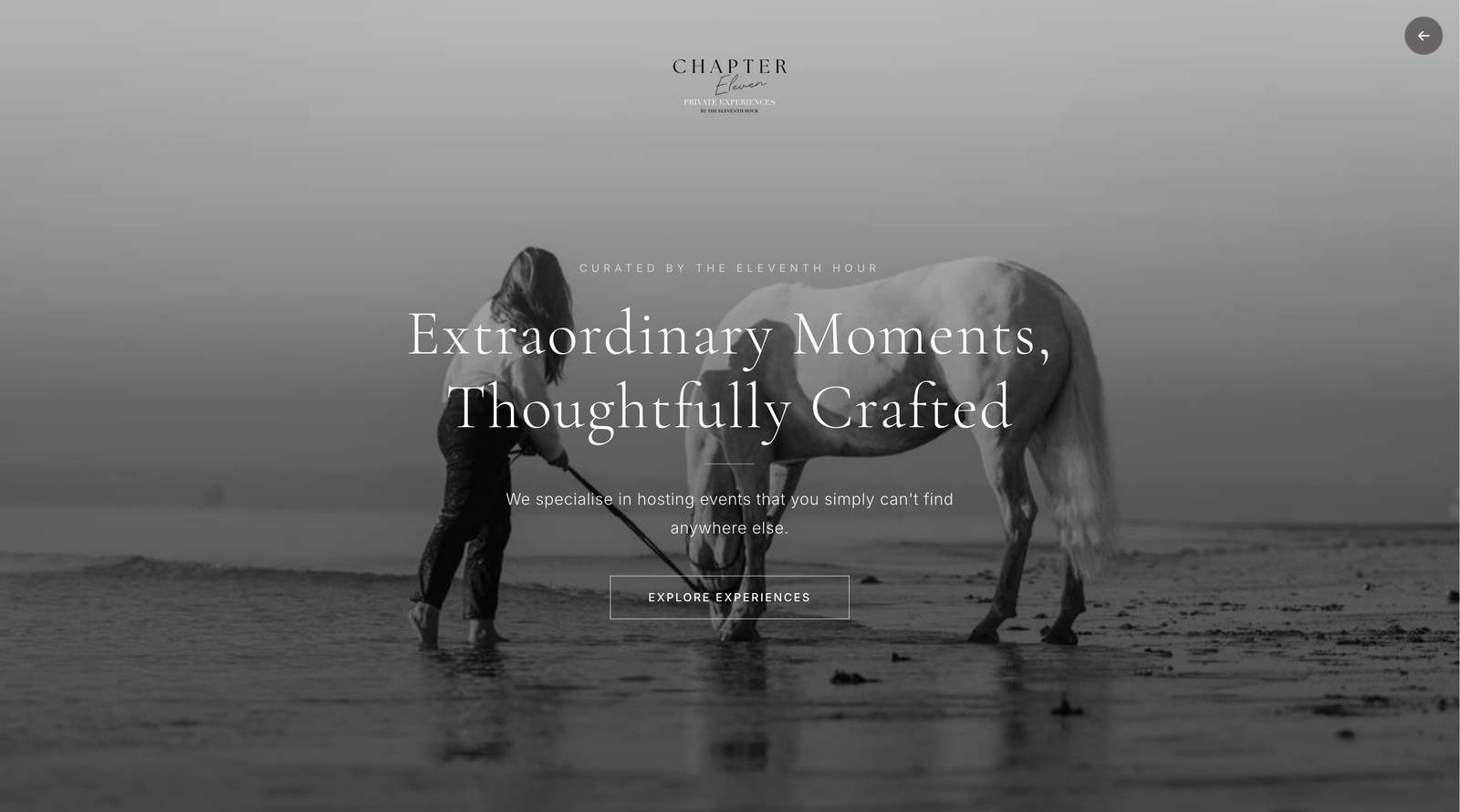 The Eleventh Hour, Chapter Eleven website